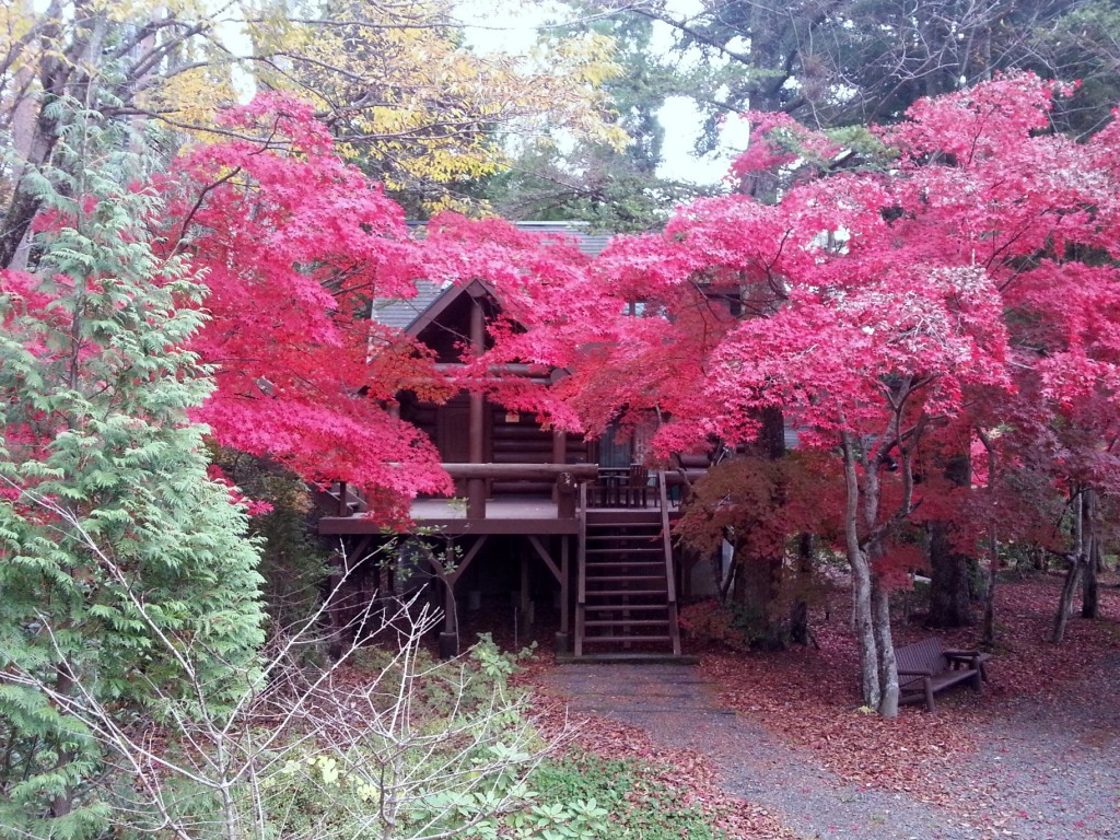 20151111_145613