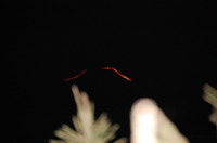 090808-2-thumb-200xauto-388