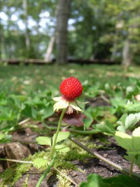 090820-3-thumb-200xauto-413