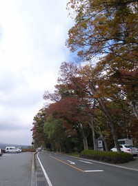 091023-3-thumb-200xauto-470