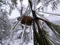 100212-2-thumb-200xauto-520