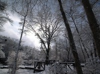 100213-2-thumb-200xauto-523