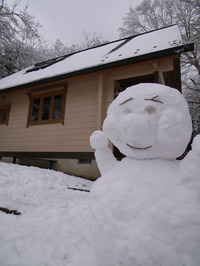 100310-2-thumb-200xauto-525