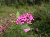100913-12-thumb-200xauto-660