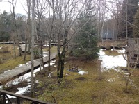 20120225-2-thumb-200xauto-788