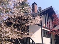 20140425sakura107-thumb-200xauto-1152