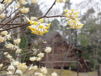 DSC02314-thumb-200xauto-806