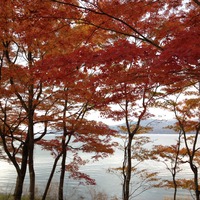 Photo2-thumb-200xauto-760