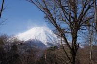SONY DSC
