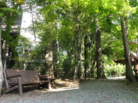 momiji100501-thumb-200xauto-906