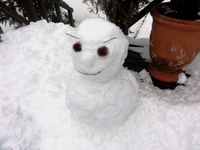 snowman0310-thumb-200xauto-796