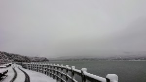 3月11日山中湖