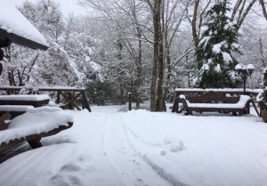 4月12日雪