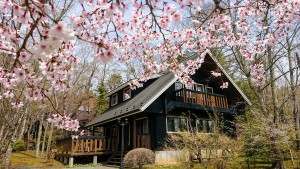 4月23日桜