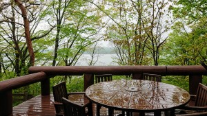 5月14日新緑の雨