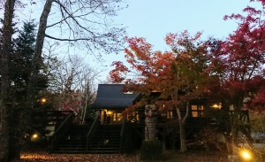 11月16日①