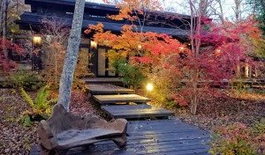11月16日②