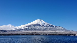 11月29日①