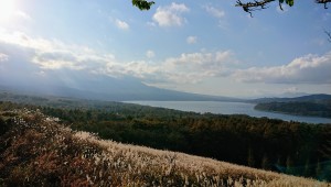 11月5日パノラマ台①