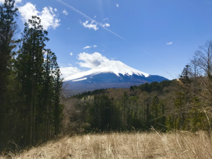 富士山