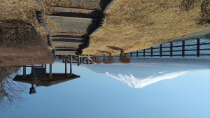 DSC_0053.JPG