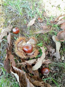 10月2日①