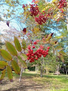 10月2日②