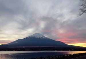 11月29日