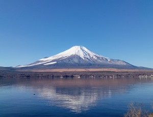 12月11日